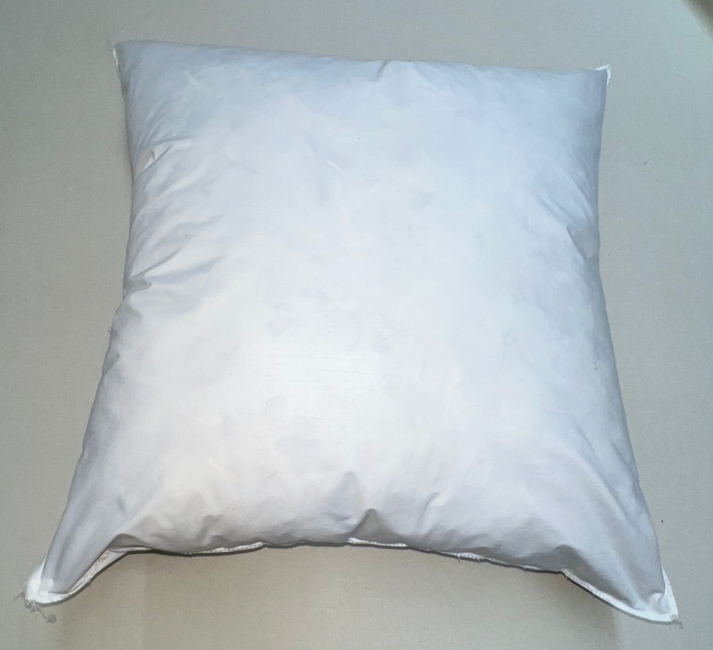 19" Fiber Down Pillow Fill ONLY